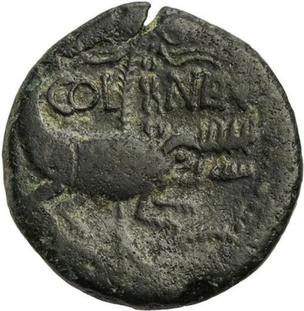 Roman Provincial, Augustus, As - Rev