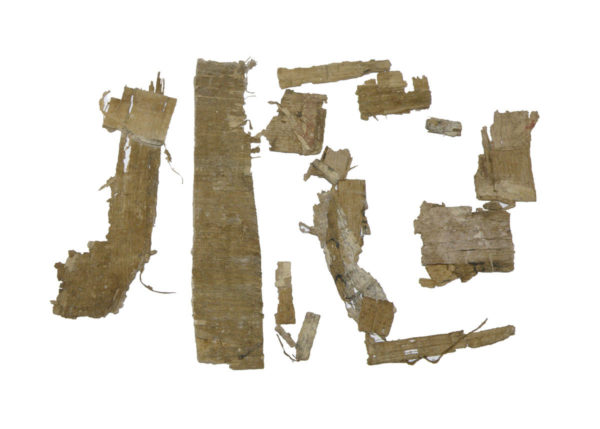 Egyptian papyrus fragments