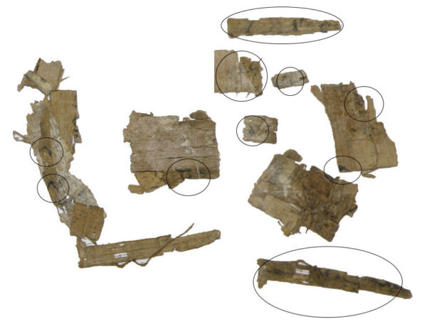 Egyptian papyrus fragments