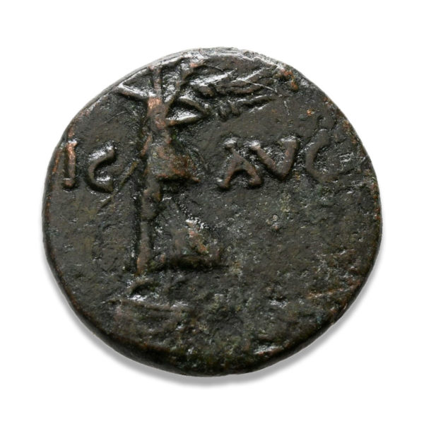 Roman Provincial, Augustus, AE - Obv