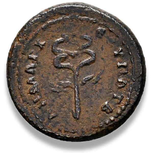 Roman Provincial, Trajan, AE - Rev