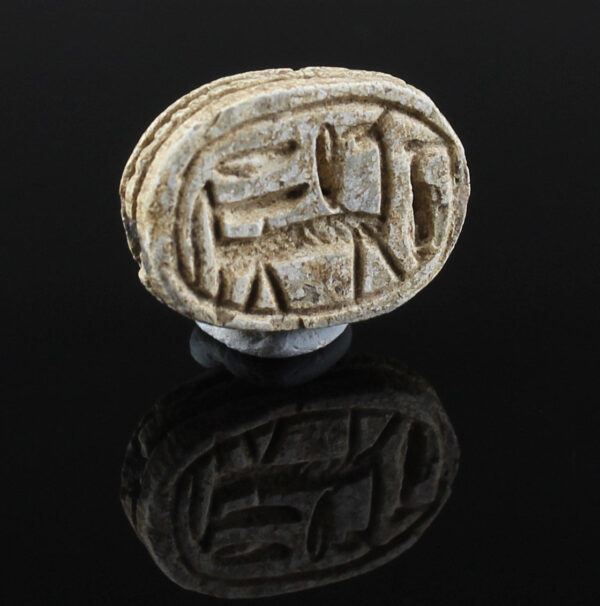Egyptian scarab with horse with schematic signs with inscription Amun