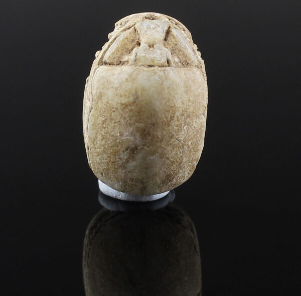 Egyptian scarab with complex robe pattern