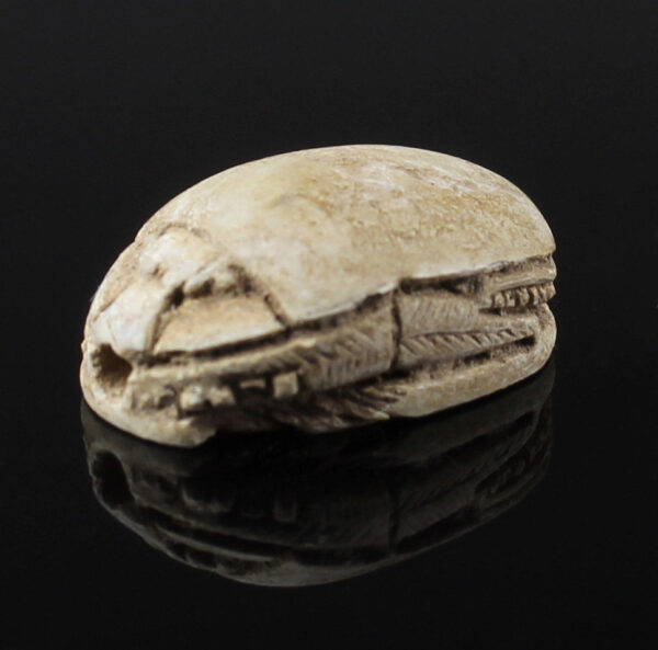Egyptian scarab with complex robe pattern