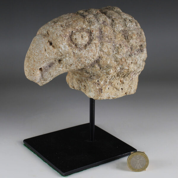 Roman head of an eagle
