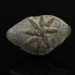 Greek slingshot with symbol eight-ray star