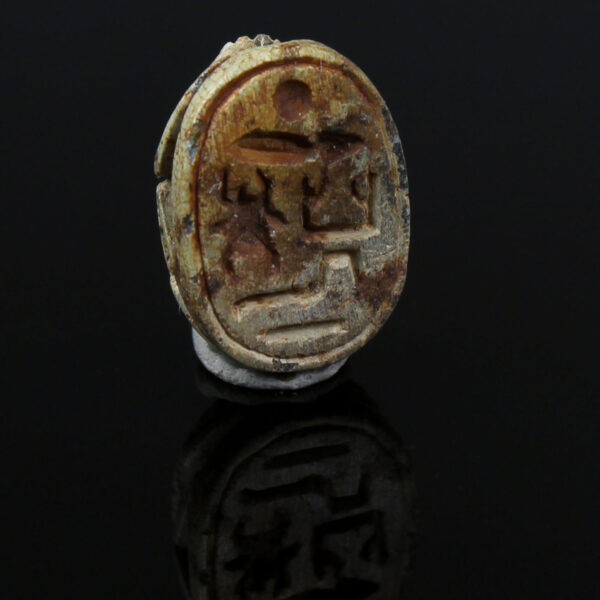 Egyptian scarab with prenomen for Amenhotep II