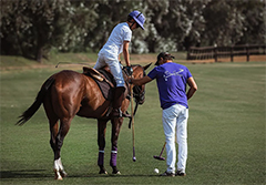 SUR - From classic, creative and authentic: we talk to Your Antiquarian, Meridional Events and Polo Valley